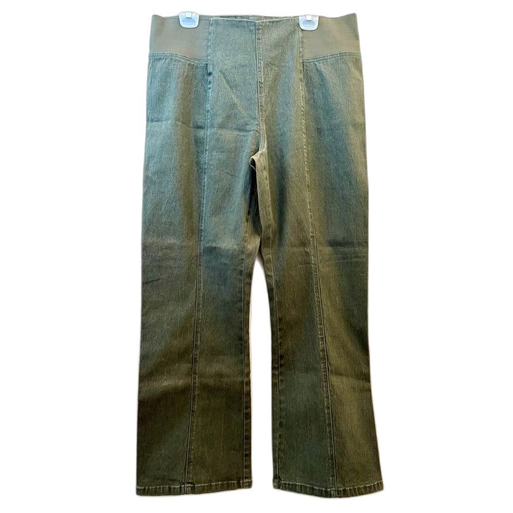 NWT Ladies Diane Gilman Green Front Seam Side Elastic Hi Rise Straight Pants 1X